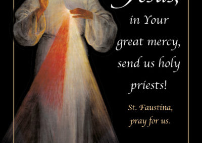 Divine Mercy Vocations Prayer Card (set of 50) - Vianney Vocations