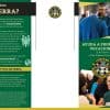 Serra Membership Brochure in Spanish - Blank Back Panel - Set of 50 - Image 2