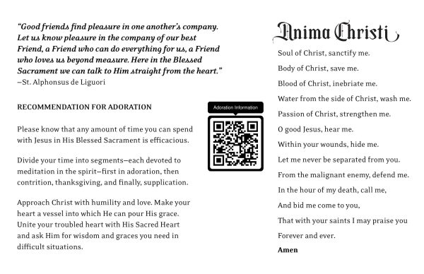 ADORE Postcards for Promoting Adoration (Set of 50) - Image 3