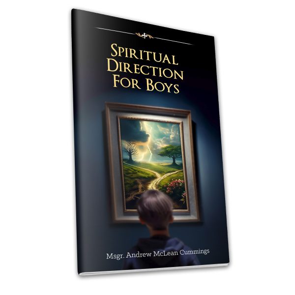 Spiritual Direction for Boys