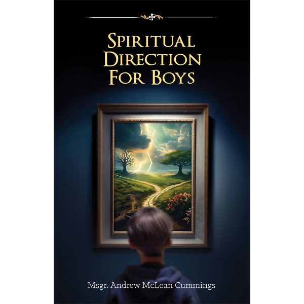Spiritual Direction for Boys - Image 2